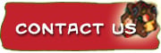 8-contact.jpg